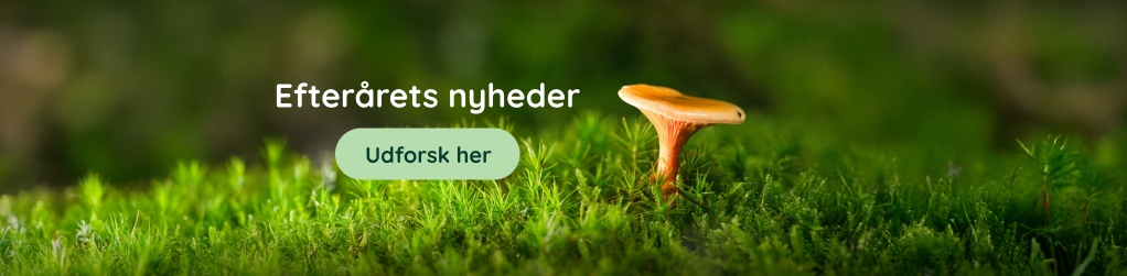 Nyheder